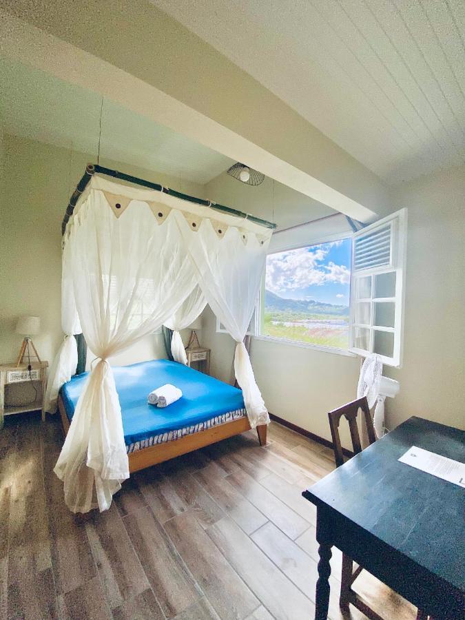 Chambre Et Sdb Privative Ylang Ylang Vue Mont Pelee Dans Maison Partagee モルヌ・ルージュ村 エクステリア 写真